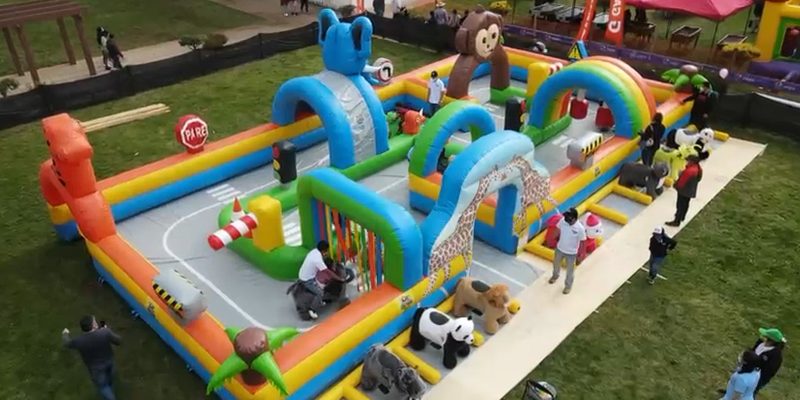 Circutio Safari Tour-100